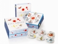 Kiki Smith 6 Espresso Cup Gift Set 